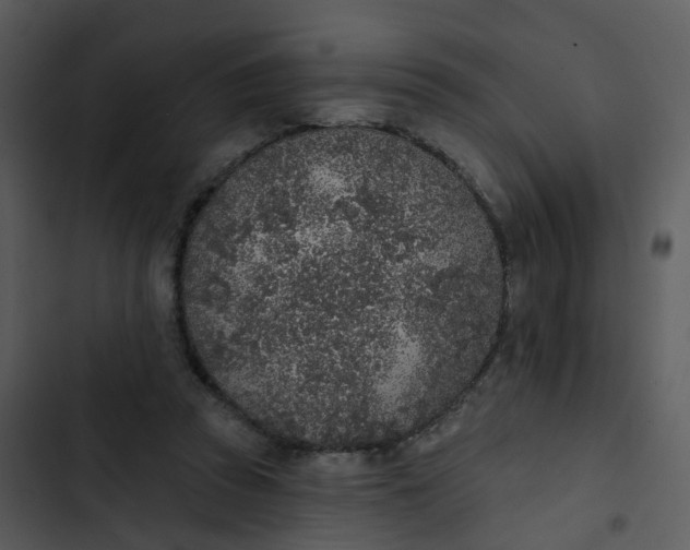 X0000102850353200809081249