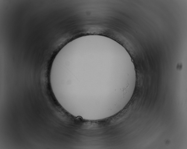 X0000102850354200809081249