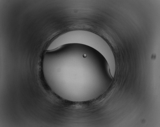 X0000102850356200809081249