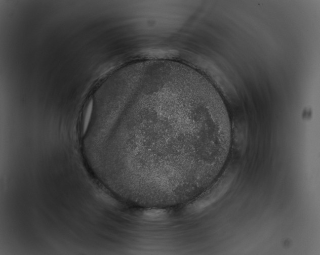 X0000102850357200809081249