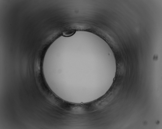 X0000102850358200809081249