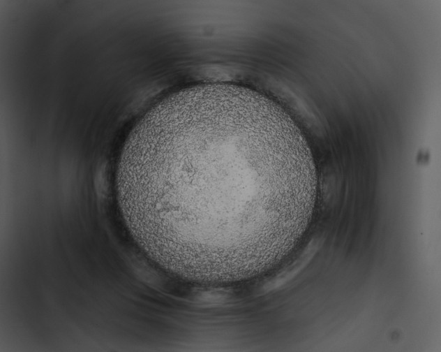 X0000102850359200809081249