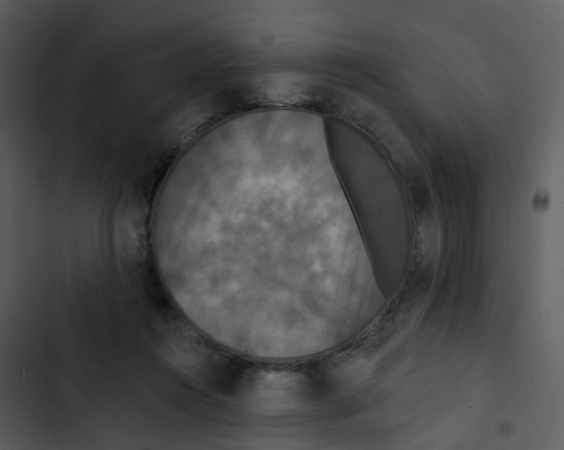 X0000102850360200809081249