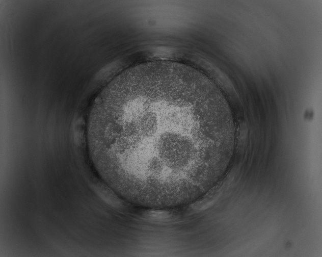 X0000102850361200809081249