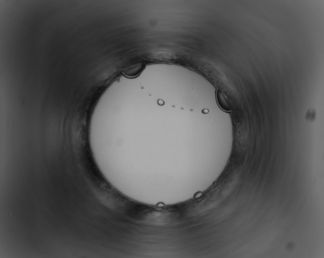 X0000102850364200809081249