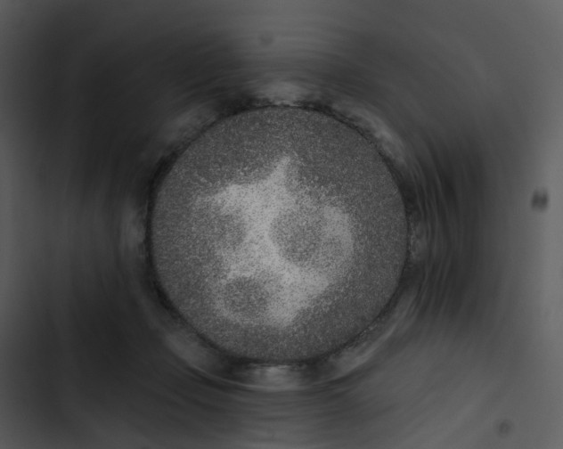 X0000102850365200809081249