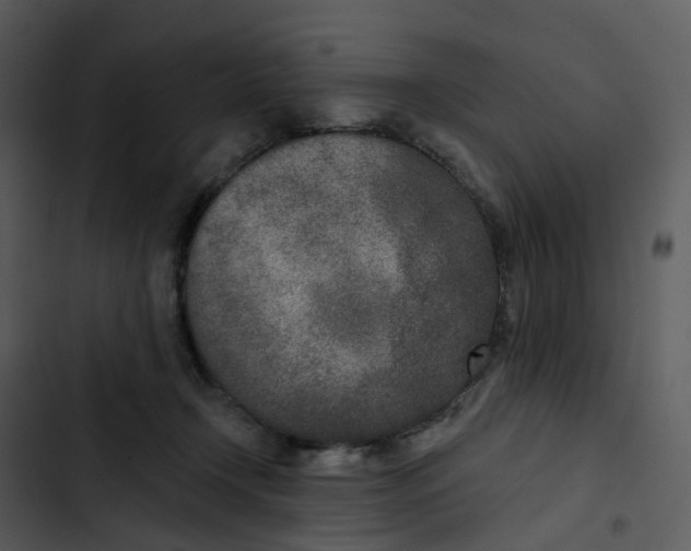 X0000102850366200809081249