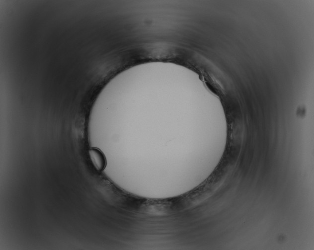 X0000102850368200809081249