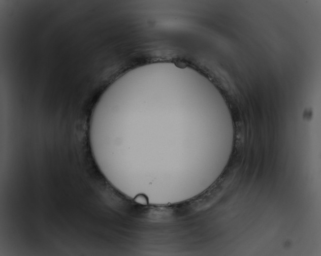 X0000102850369200809081249