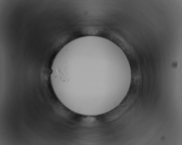 X0000102850374200809081249