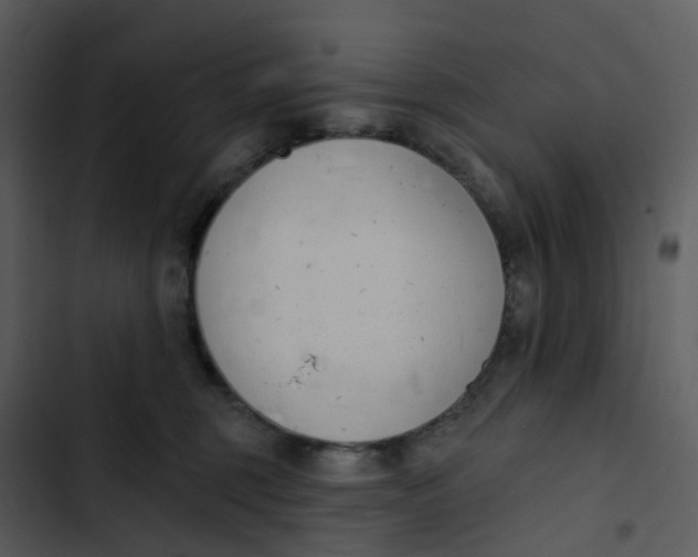 X0000102850375200809081249