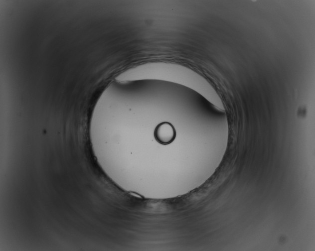 X0000102850376200809081249