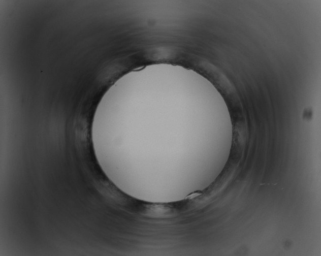 X0000102850380200809081249