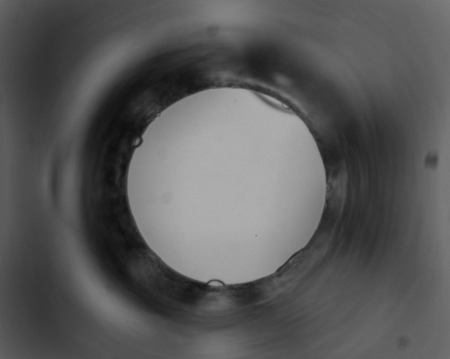 X0000102850381200809081249