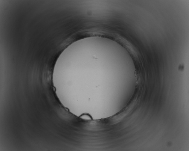 X0000102850382200809081249