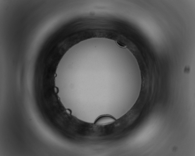 X0000102850383200809081249