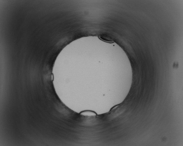 X0000102850384200809081249