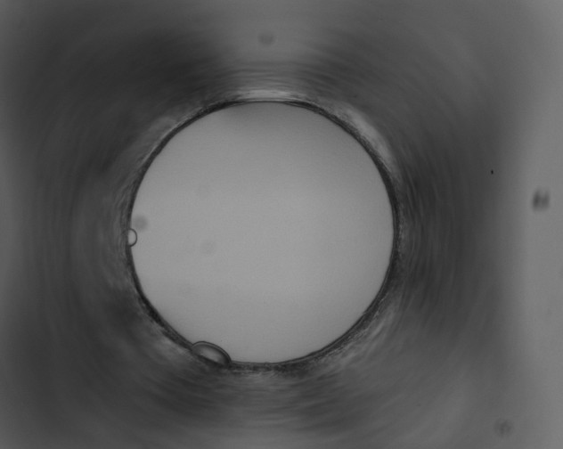 X0000102850385200809081248