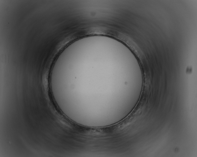 X0000102850386200809081248