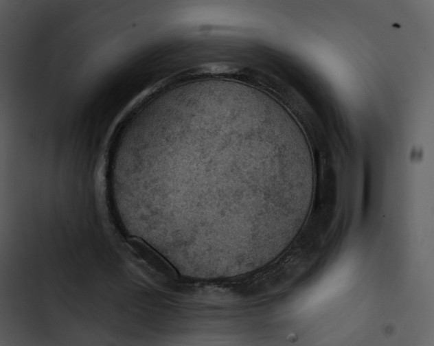 X0000102850387200809081248