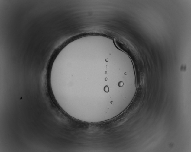 X0000102850388200809081248