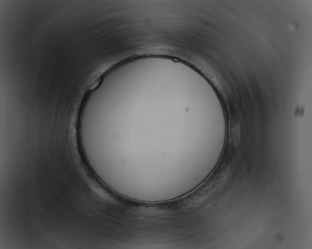 X0000102850389200809081248