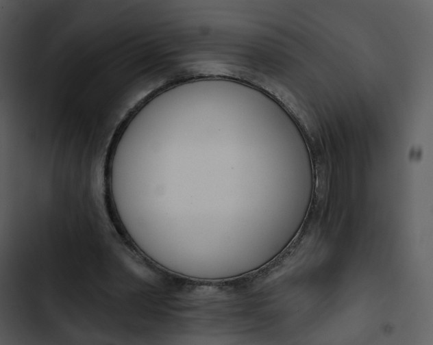 X0000102850390200809081248