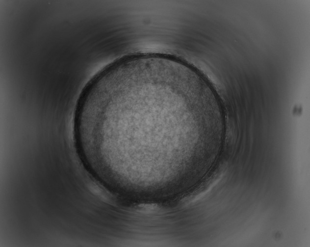 X0000102850391200809081248