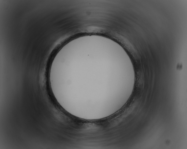 X0000102850392200809081248