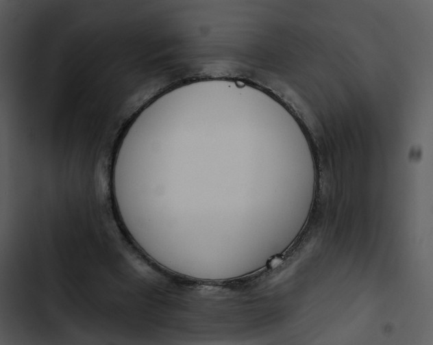 X0000102850393200809081248