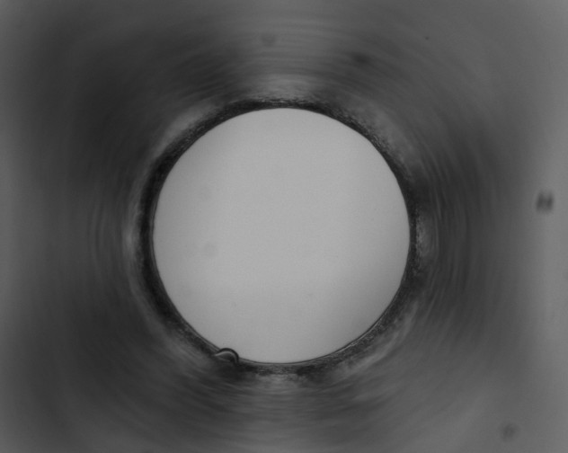 X0000102850396200809081248