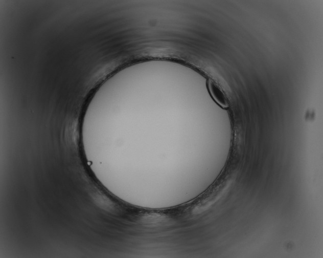 X0000102850397200809081248