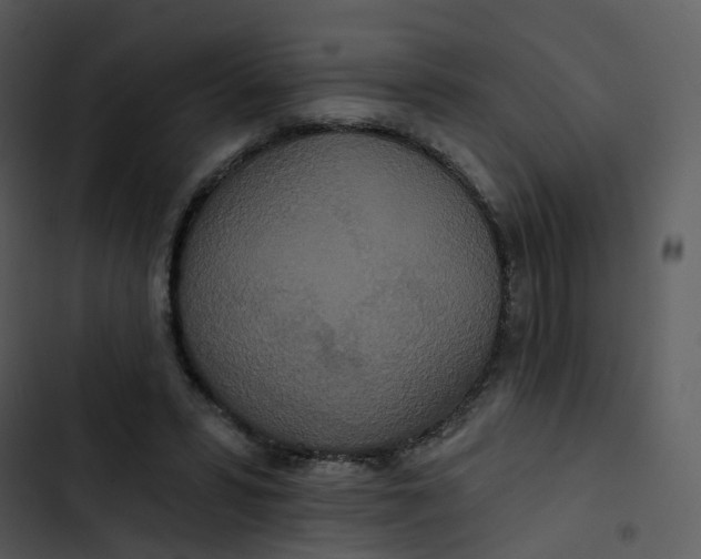 X0000102850399200809081248