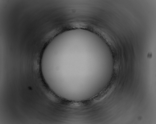 X0000102850402200809081248