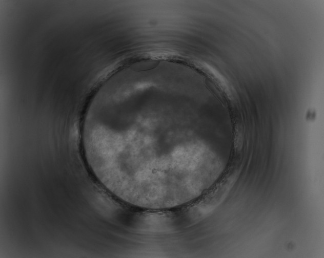 X0000102850405200809081248