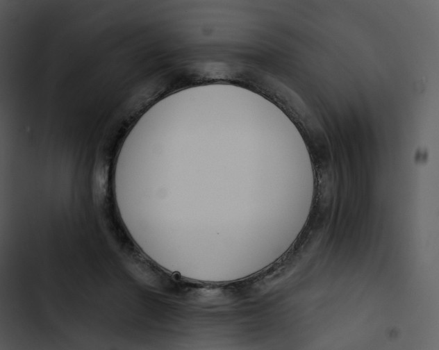 X0000102850406200809081248