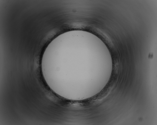 X0000102850407200809081248