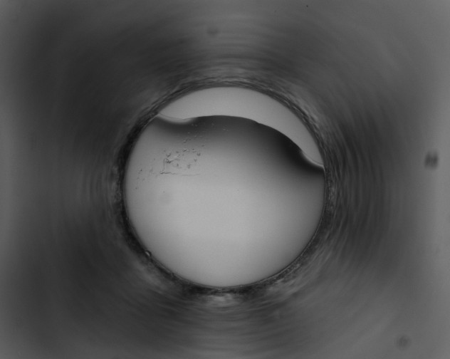 X0000102850411200809081248