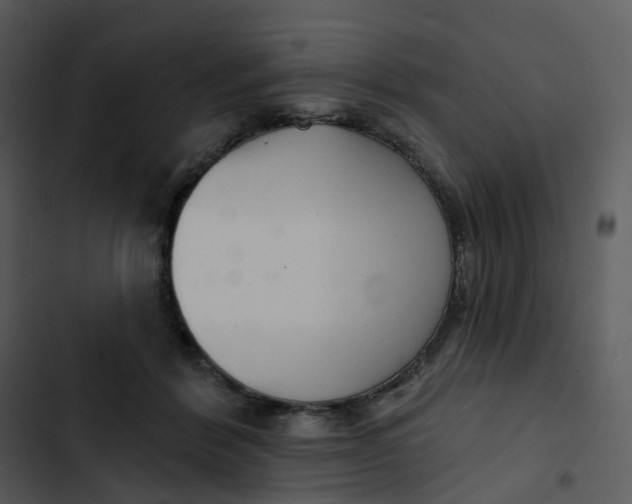 X0000102850412200809081248