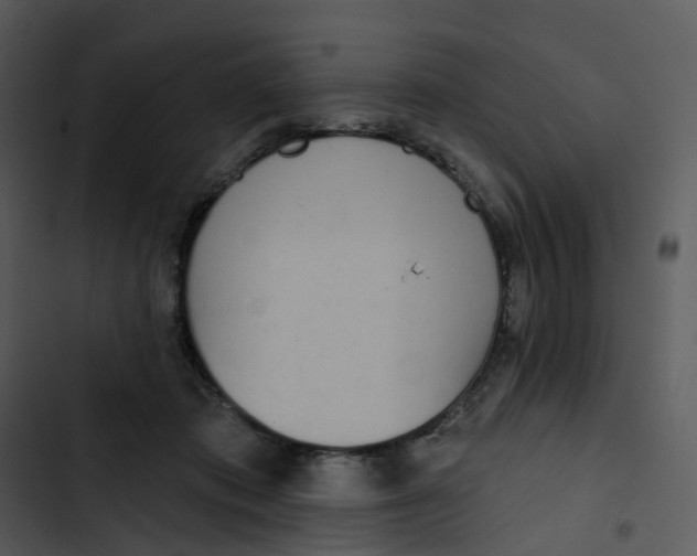 X0000102850413200809081248