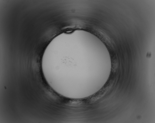 X0000102850414200809081248