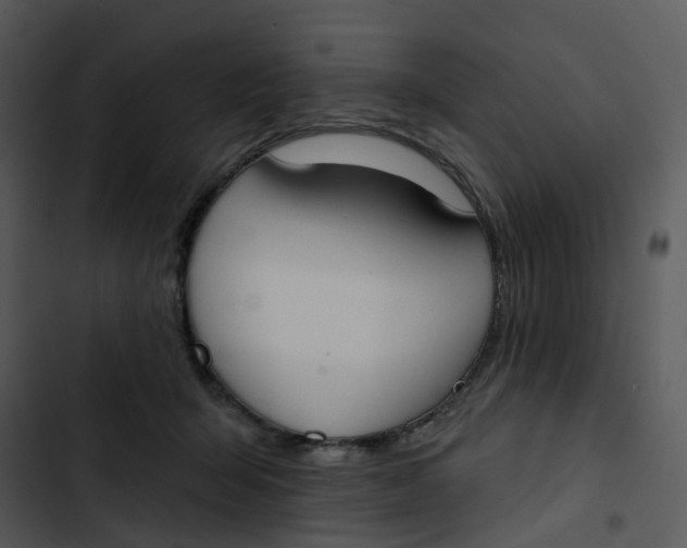 X0000102850415200809081248