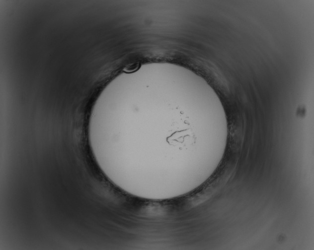 X0000102850416200809081248