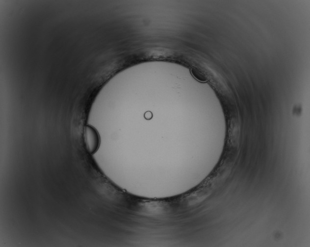 X0000102850417200809081248