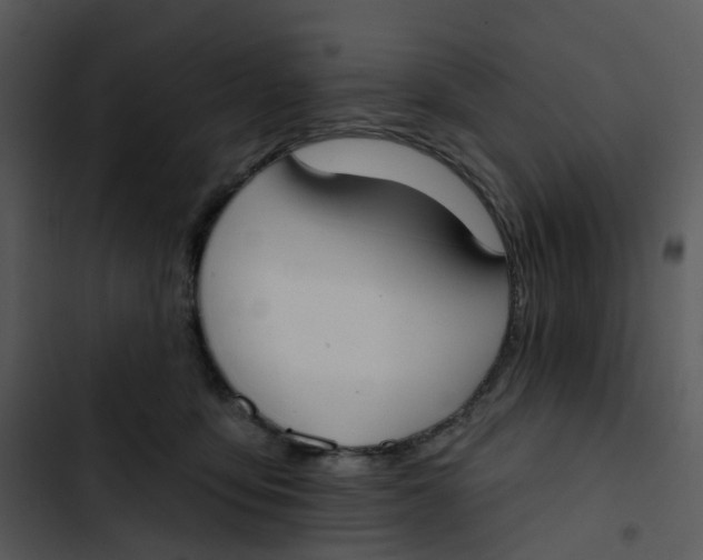 X0000102850419200809081248