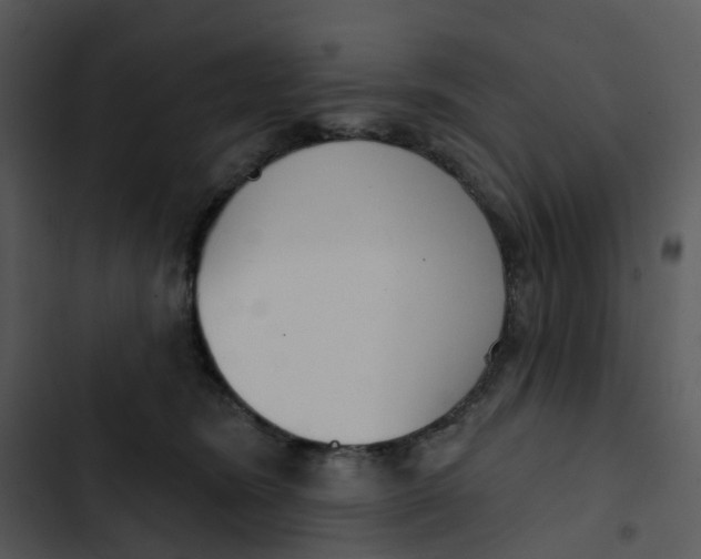 X0000102850420200809081248