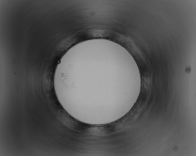 X0000102850422200809081248