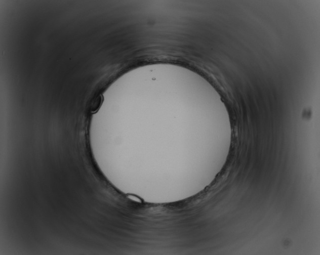 X0000102850423200809081248