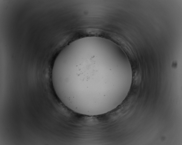 X0000102850424200809081248