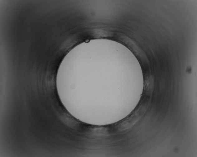 X0000102850426200809081248